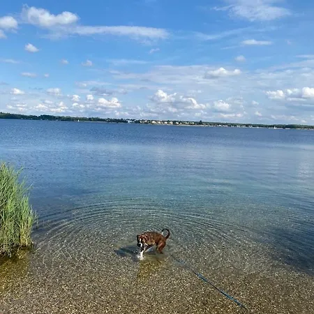 Daire Grosse Ferienwohnung, Klima In Den Schlafzimmern, 3 Zimmer, Balkon & Grosse Kueche - In Seenaehe, Schnell In Der Stadt